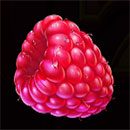 Juicy Fruits Multihold Symbol Raspberry