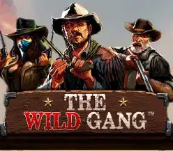 The Wild Gang Thumbnail