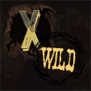 2 Wild 2 Die Symbol Wild