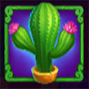 Cactus Riches Cash Pool Symbol Cactus