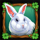 Good Luck & Good Fortune Symbol Bunny