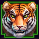 Katana Klash Hold ‘N’ Link Symbol Tiger