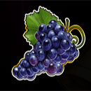 FTN Freeze Grape
