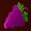 Hot Slot™ 777 Rubies Extremely Light Grapes