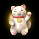 Jade Coins Symbol Cat