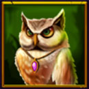 Magic Time Symbol Owl