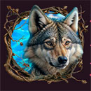 Forest Richness Wolf