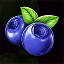 Jam Bonanza Hold & Win Blueberry