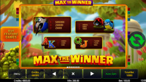 Max The Winner Paytable