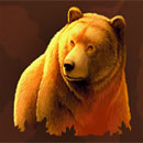 Wild Survivor Bear