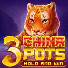 3 China Pots Thumbnail