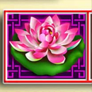 5 Fortunes Gold Paytable Symbol 8