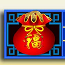 Double Fortune Paytable Symbol 16