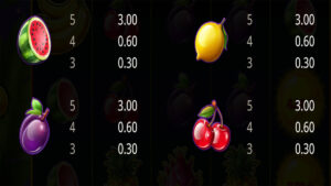Fruit Heaven Hold and Win Paytable2