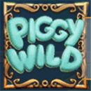 Piggy Cash Paytable Symbol 9