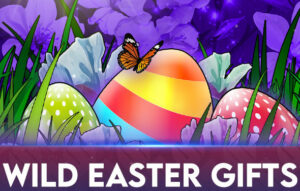 Wild Easter Gifts Thumbnail