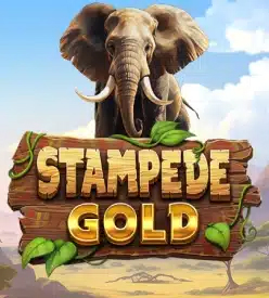 Stampede Gold Thumbnail