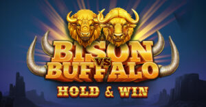 Bison vs Buffalo Thumbnail Small