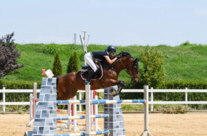 show jumping