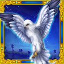 10,000 Wonders MultiMax Bird