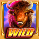 Bison Wilds DoubleMax Wild