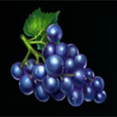 Minting It! Hold & Win Grape