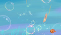 bubbles4