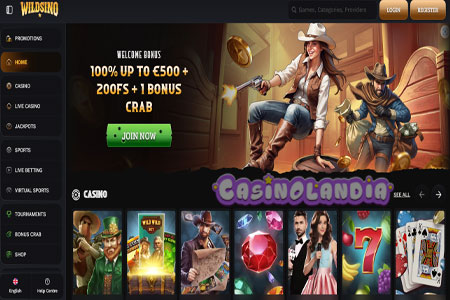 Wildsino Casino Desktop Video Review