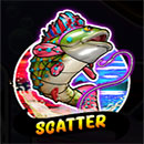 Scatter