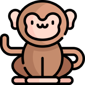 monkey4