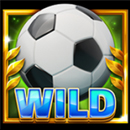 20 Wild Goals Paytable Symbol 8