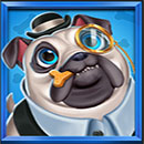 5 Doggy Millionaires Dream Drop Pug