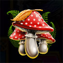 7 Clovers of Fortune Mushroom