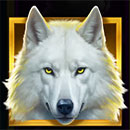 Howling For Gold Wolf