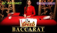 Speed Baccarat by Amusnet