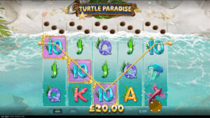 Turtle Paradise Win