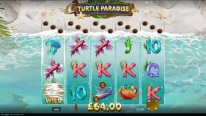 Turtle Paradise Win4