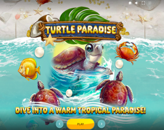 Turtle Paradise