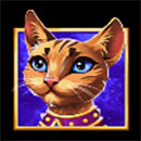 Bastet and Cats Deluxe BrownCat