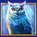 Moon Spell Owl