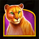 Wolf Gold Ultimate Lioness