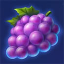 Arctic Spin Grape