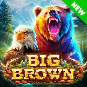 Big Brown Thumbnail