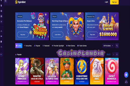 Spinbet Casino Desktop Video Review