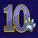 Diamond Doggies 10