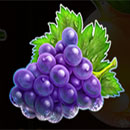 Respin Joker 81 Xmas Grape