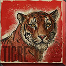 Animals Strike Tigre