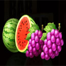 Jingle Coins Hold and Win MelonGrape