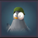 Coop Clash Gull