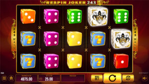 Respin Joker 243 Dice Base Play